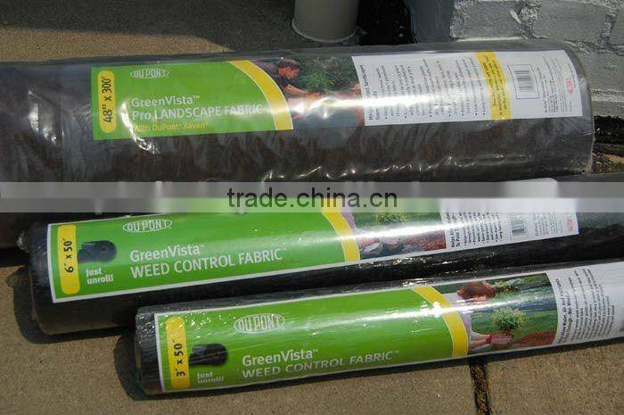 Foreign customer visit our factory for pp nonwoven fabric