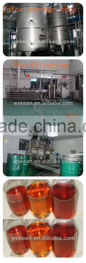 Turnkey project of apple juice plant