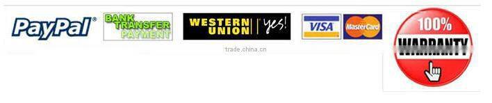 2015 New design embroidery logo disposable Eva slippers