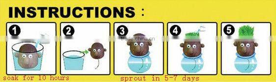 Novelty Fun Kids Plants doll grass head doll