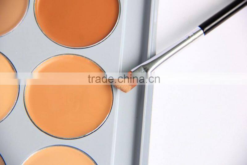Trade Assurance Wholesale10 Color Face Cosmetic Concealer Palette Make Up Camouflage Contour Palette