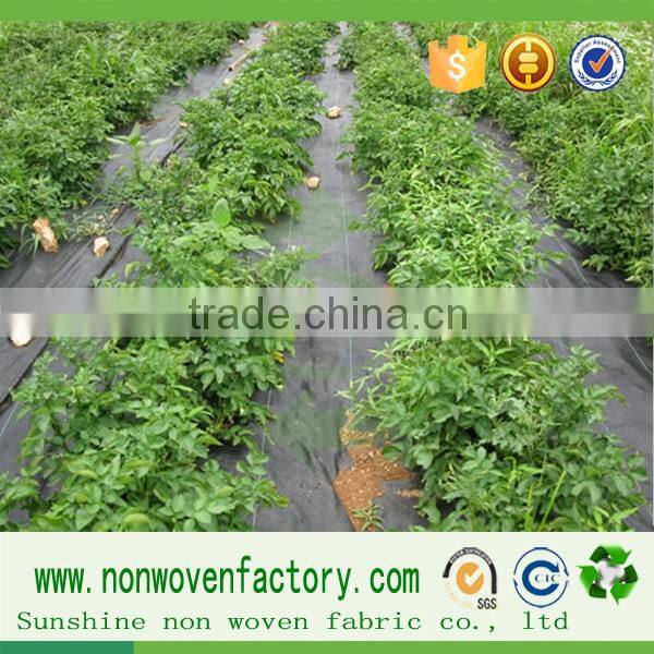Plant covers protection telas fabricas non woven fabrica