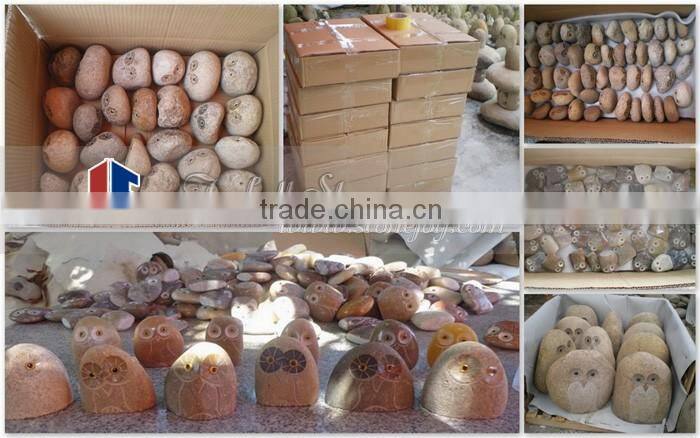 Dragonfly River Stone Pebbles