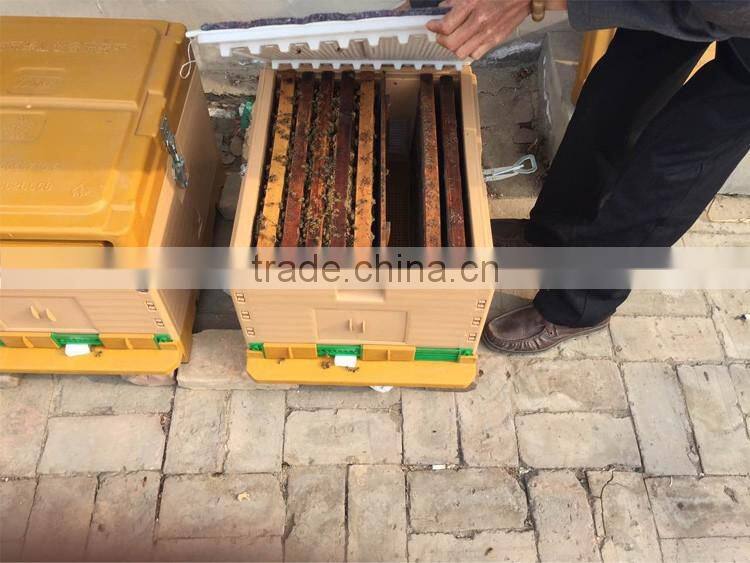 Beehive manufacturers supply wooden beehive, plastic beehive