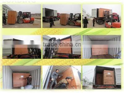 Intensive Scourer for Flour Milling Equipment