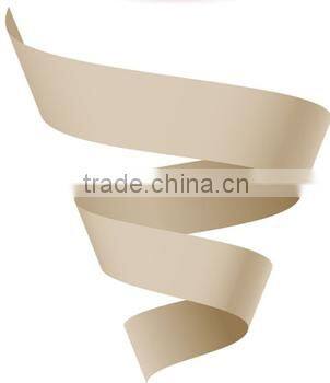 LEI GONG 2016 newest wireless design electric mop