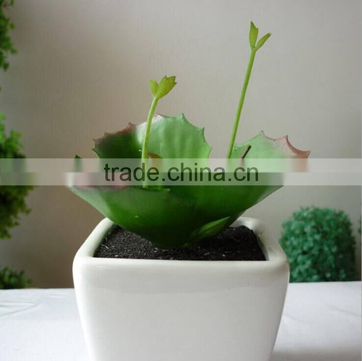 Mini artificial cactus with pot for indoor decoration