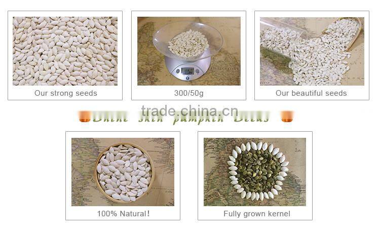 Chinese high quality pepitas pumpkin seeds