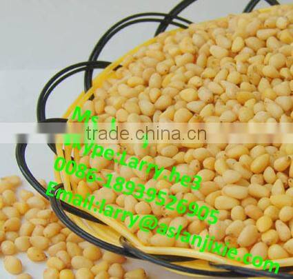 pine cone peeler machine/Siberian pine nuts peeler/peeling machine for pine nuts