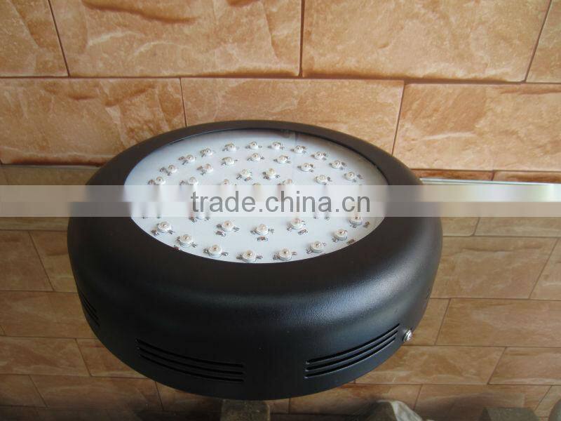 led grow light in hydroponics system