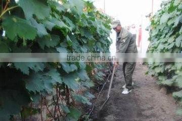 New type of high efficient compound fertilizer cailcium ammonium nitrate