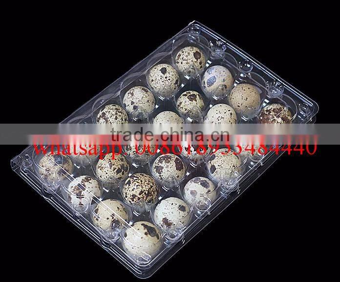 24 Holes rectangular clear transparent plastic quail egg cartons, plastic quail packing tray 24eggs
