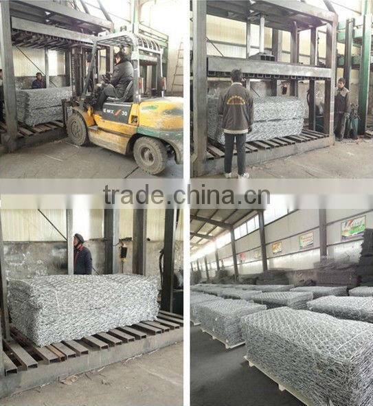 Aviary Netting/Poultry Netting/Hexagonal Mesh