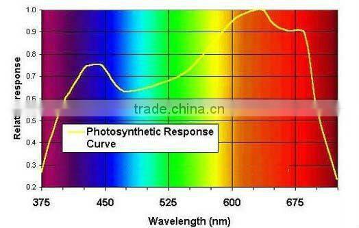 vanq led ,x lenses led grow light ,integrated light source 200w led grow light for green house