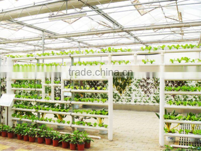 lettuce system hydroponic green house