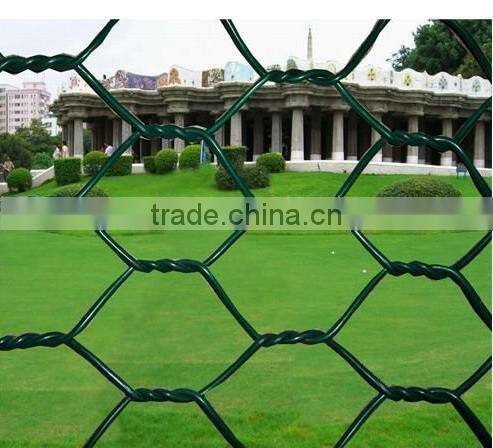 Hexagonal wire mesh (factory)