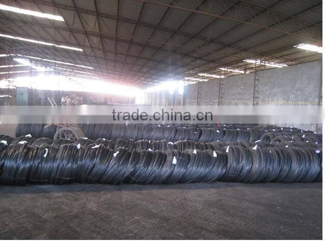 Galvanized Zinc Coated Iron Wire with Factory Price