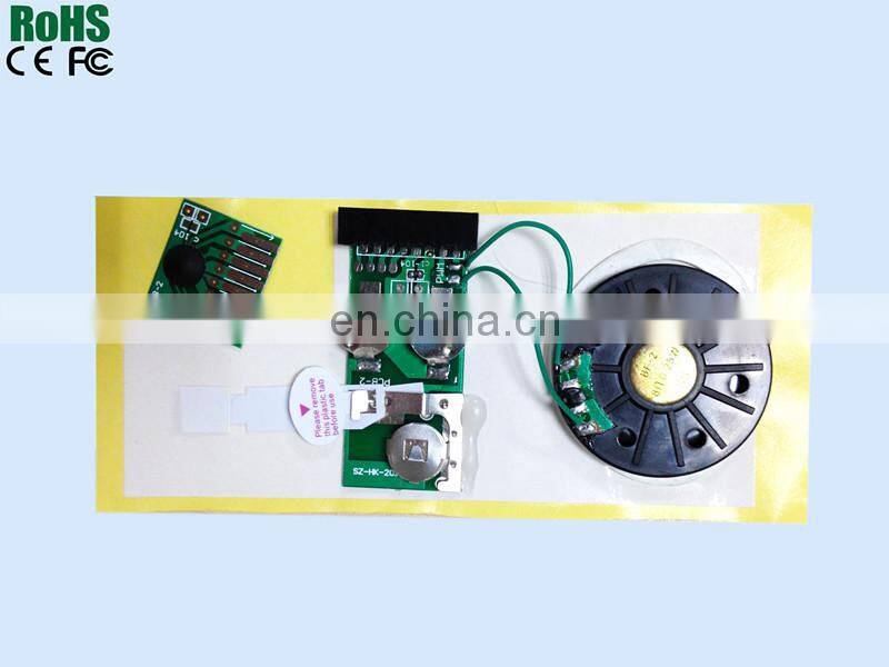 Programmer sound chip for greeting cards