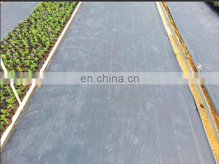 Agricultural garden plastic weed block mat / pp ground cover / weed control mat