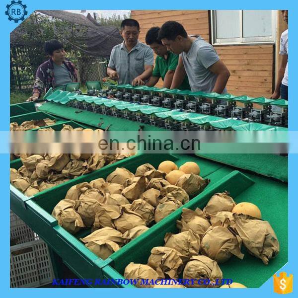 China high quality orange classify machine apple sorter machine fruit grading machine in fruit processing production line