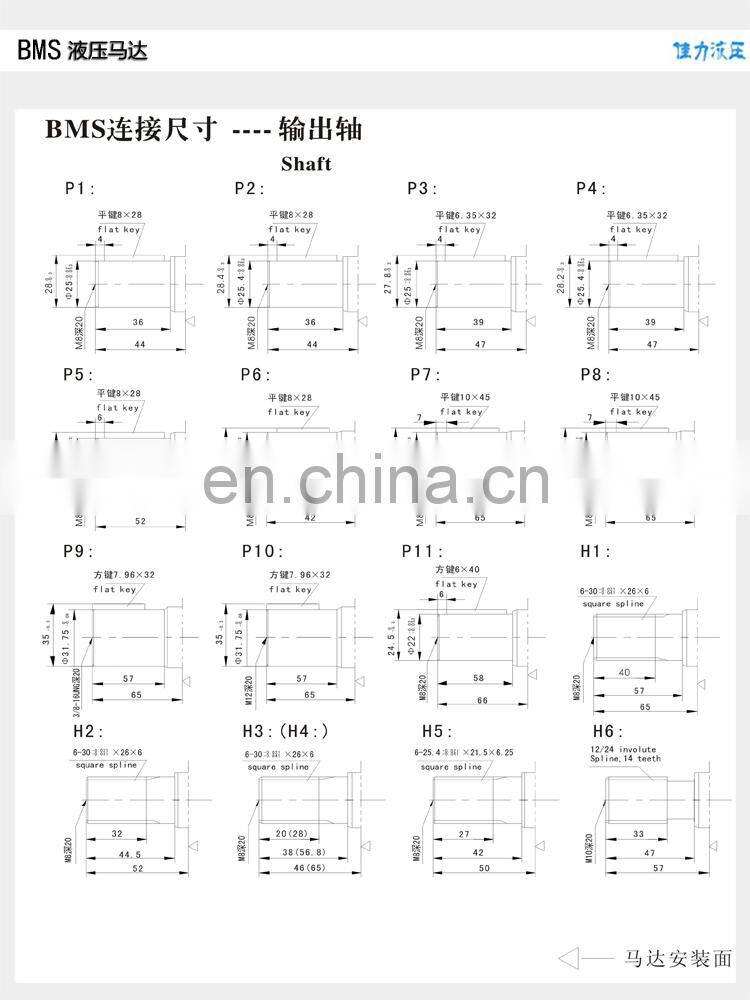 High quality orbit Hydraulic motor BMS-80 100 130 160 195 245 305 395 490