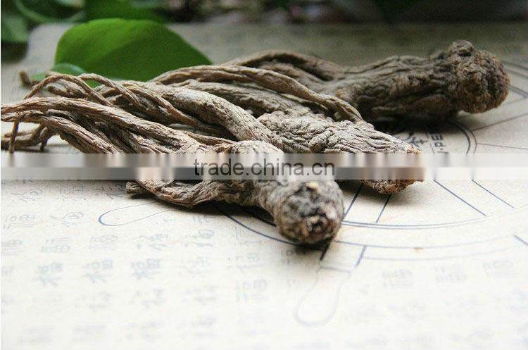 Angelica,Angelica sinensis,Chinese angelica,Food seasoning