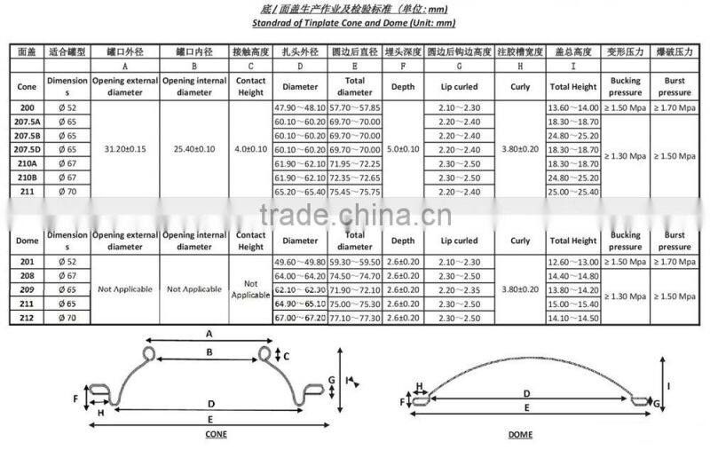 Chemical Paint Bucket