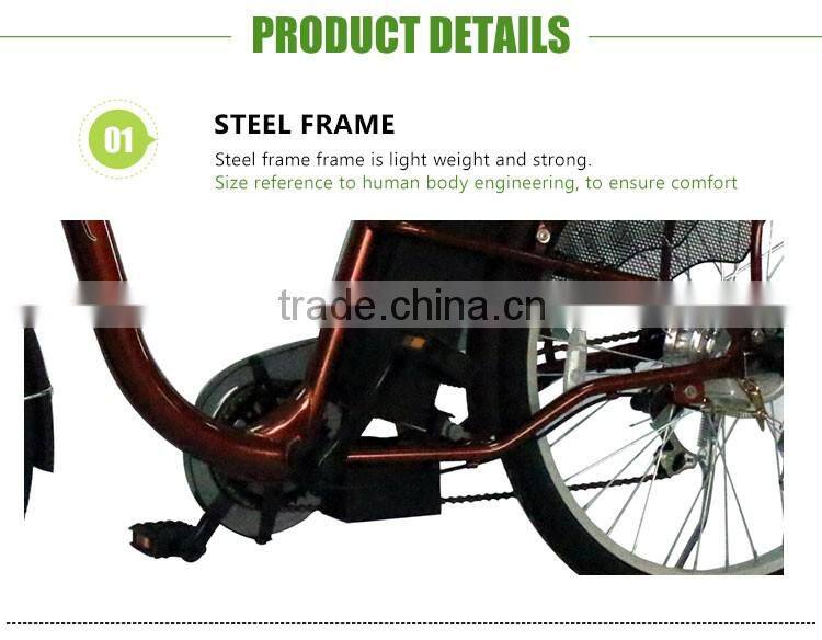 36V Adult Electric Bike For Sale
