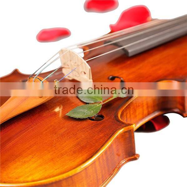 Taixing German Violin Factory Manufacture Jiangsu High quality Violin 1/2 TL004-1