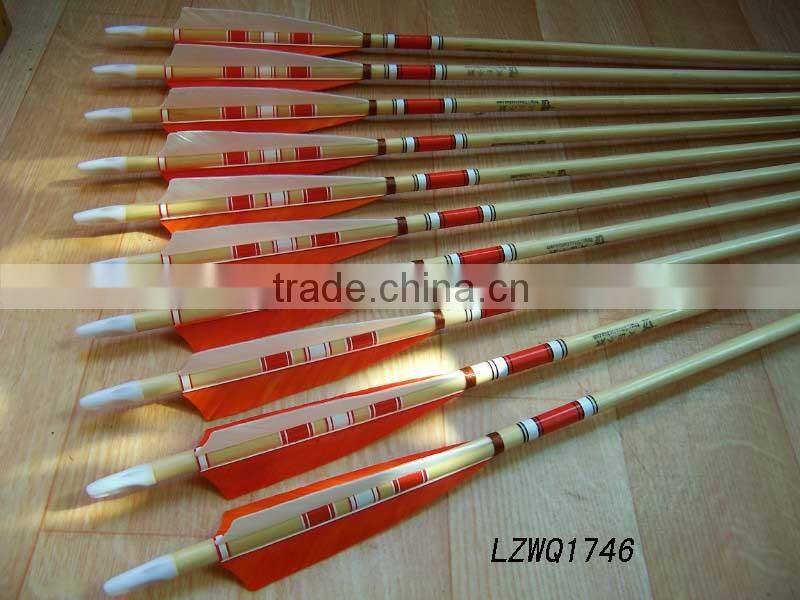 Feather Arrows LZWQ1764