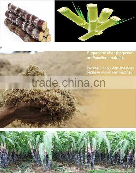 100% Eco-friendly biodegradable food box made from sugarcane