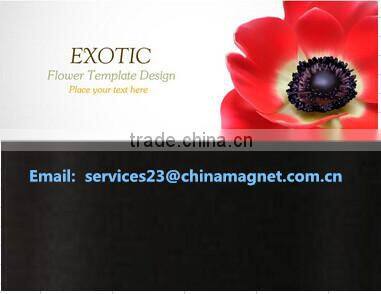 2015 promotion magnetic business card wholesale