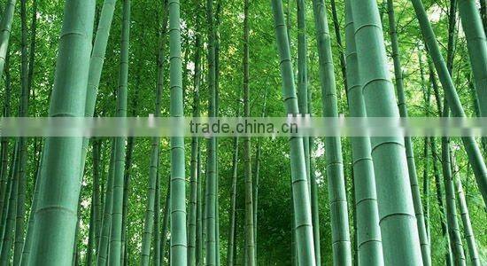 locking floor lock flooring bamboo material flooring