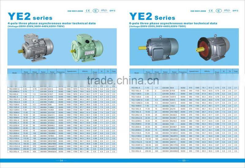 three-phase asynchronous motor IP55