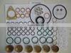 Fuel Injection Pump Repair Kit 800637