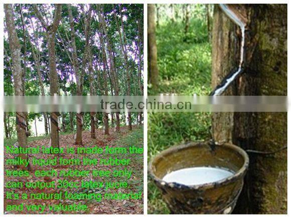 High quality natural Latex Mattress / bed mattress