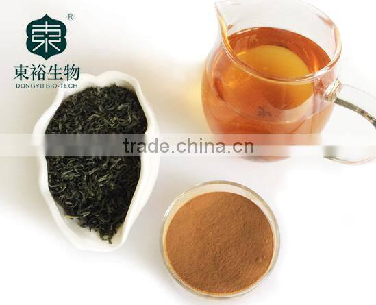 Green Tea Extract different ratio of polyphonel 20% 50% 80% 90% with best quality and low price