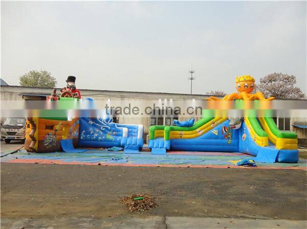Giant inflatable water slide for kids and adults with low price