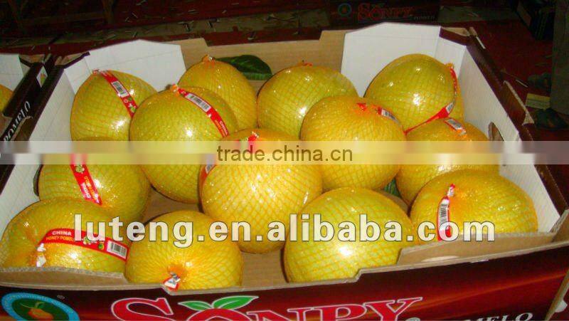 Chinese Fresh Pomelo Fujian Pomelo Sweet Pomelo