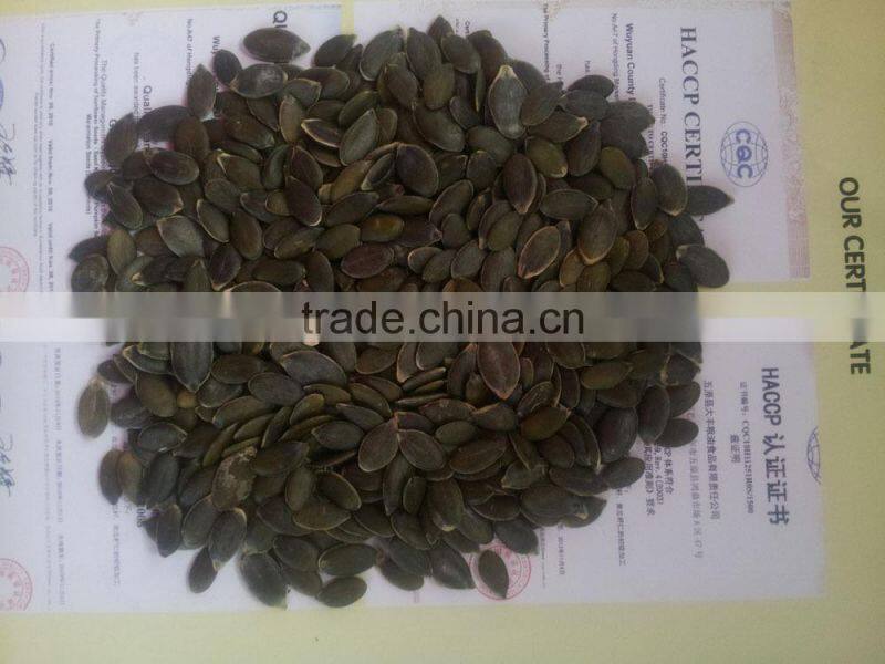 GWS Pumpkin kernels A, AA, AAA Factory