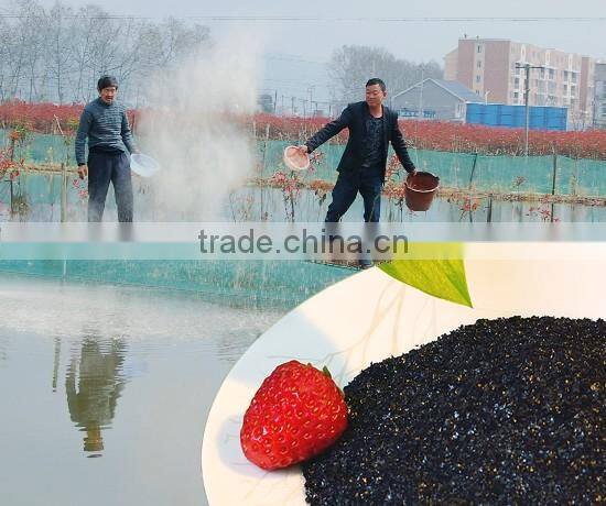 100% Purity Sodium Humate Food Grade Shiny Powder