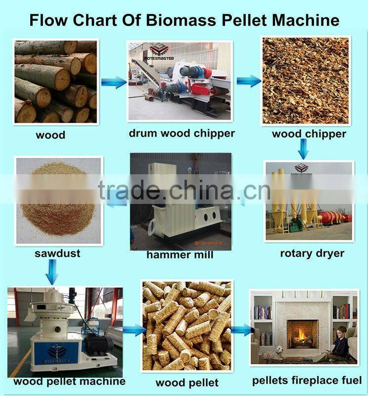 Rice Husk Pellet Machine and Equipment Pelletizer Mill Machine in Philippines