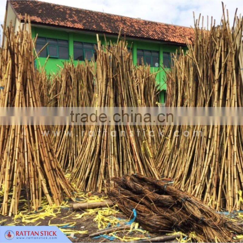 Selling Reed rattan diffuser sticks customized diameter and length reed sticks 10.5" x 3"