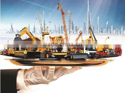 Competitive Price XCMG XE260CLL Excavator