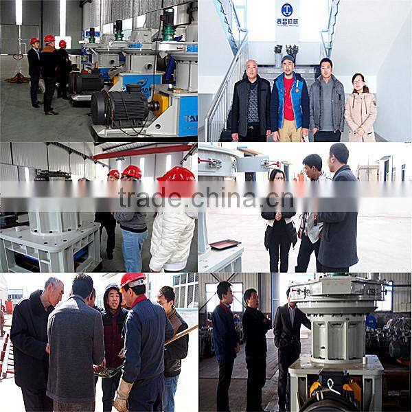 Easy operation CE wood fuel pellet machine