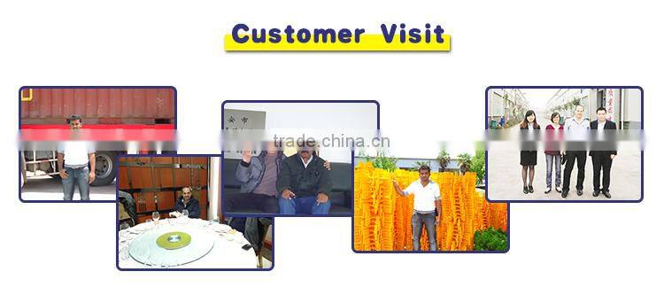 Floating Surface Aerator for Fish Ponds