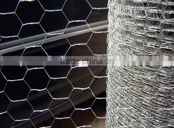 Hexagonal chicken wire mesh/ hexagonal wire netting/ Hexagonal wire mesh
