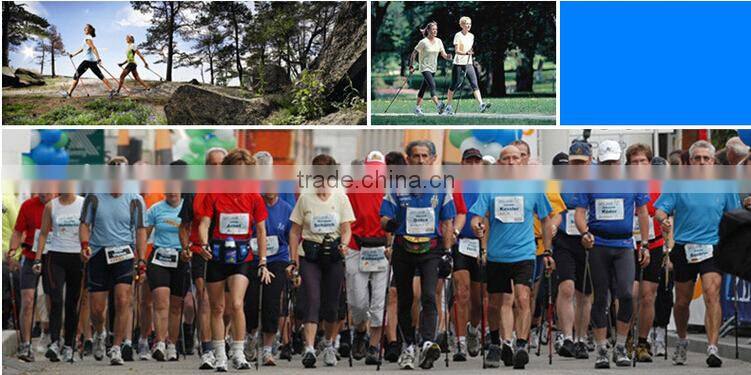 2015 Newest Popular Cheap Carbon Fiber Light Trekking Pole