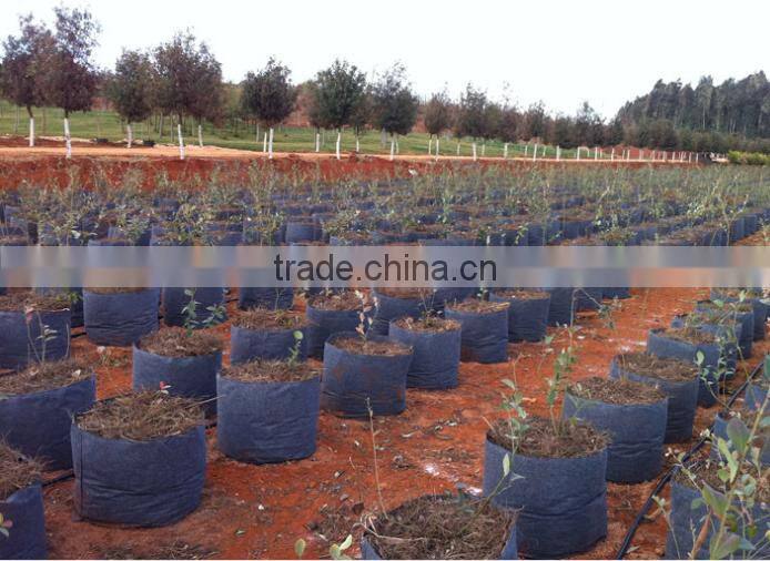 smart fabric grow bag non woven grow bag