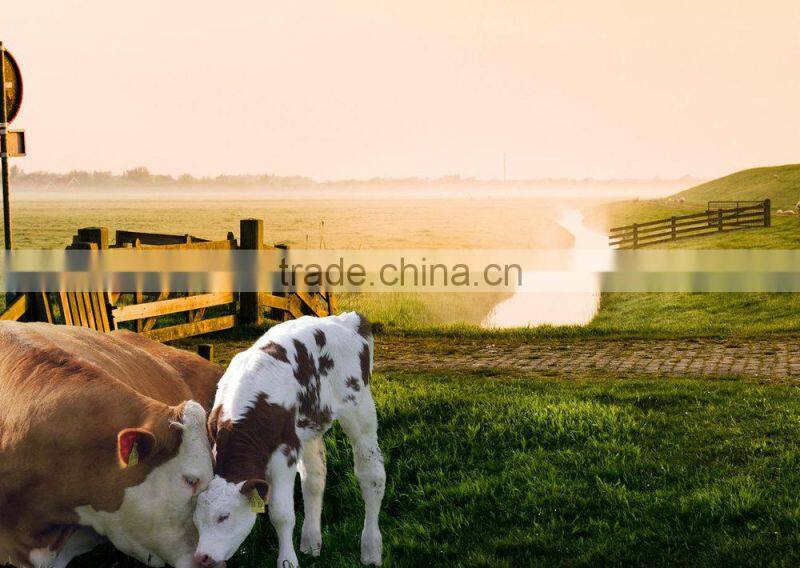 Small RFID Animal Ear Tag 13.56MHz ISO11784 Customized Logo